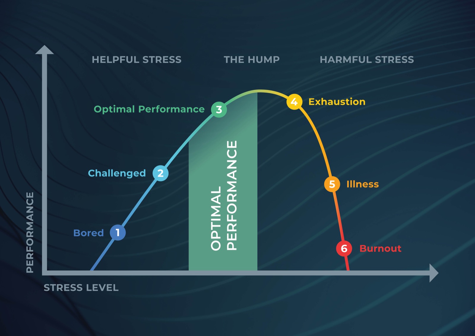 The Stress versus Performance curve: helpful stress builds from bored to challenged to optimal performance, then harmful stress tips into exhaustion, illness and burnout